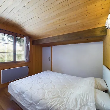 Apartment 2 Pieces Style Chalet, Torgon, Alpes Suisses Vionnaz